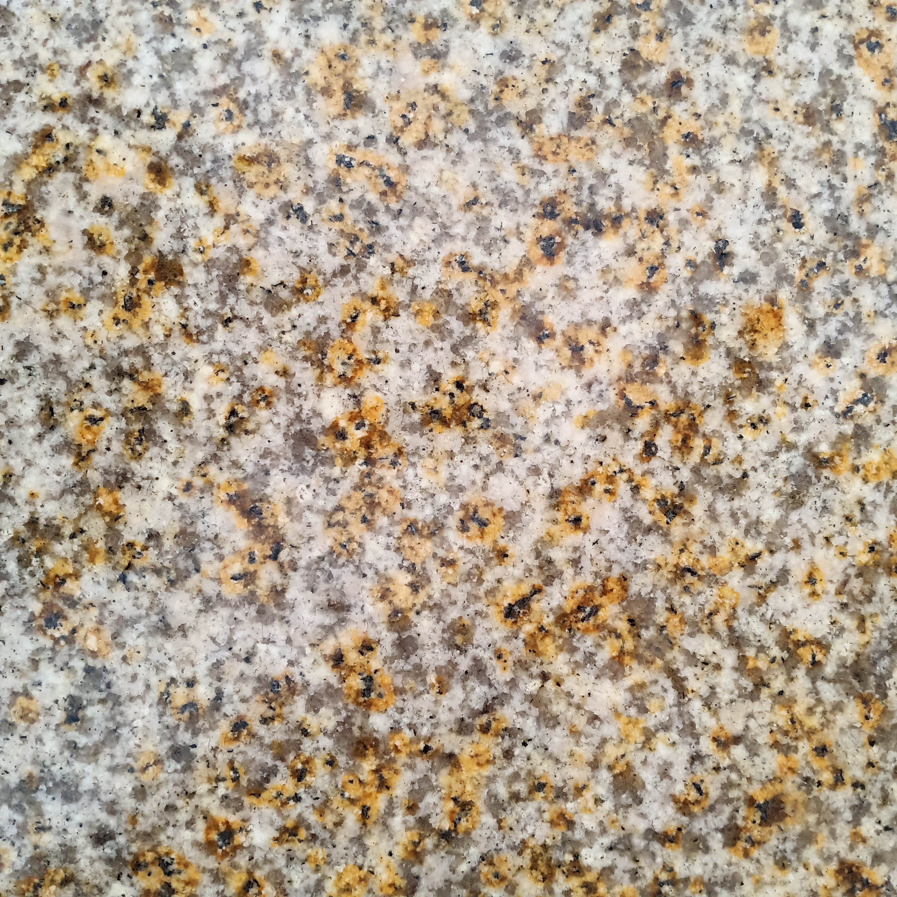 黄锈石光面批发