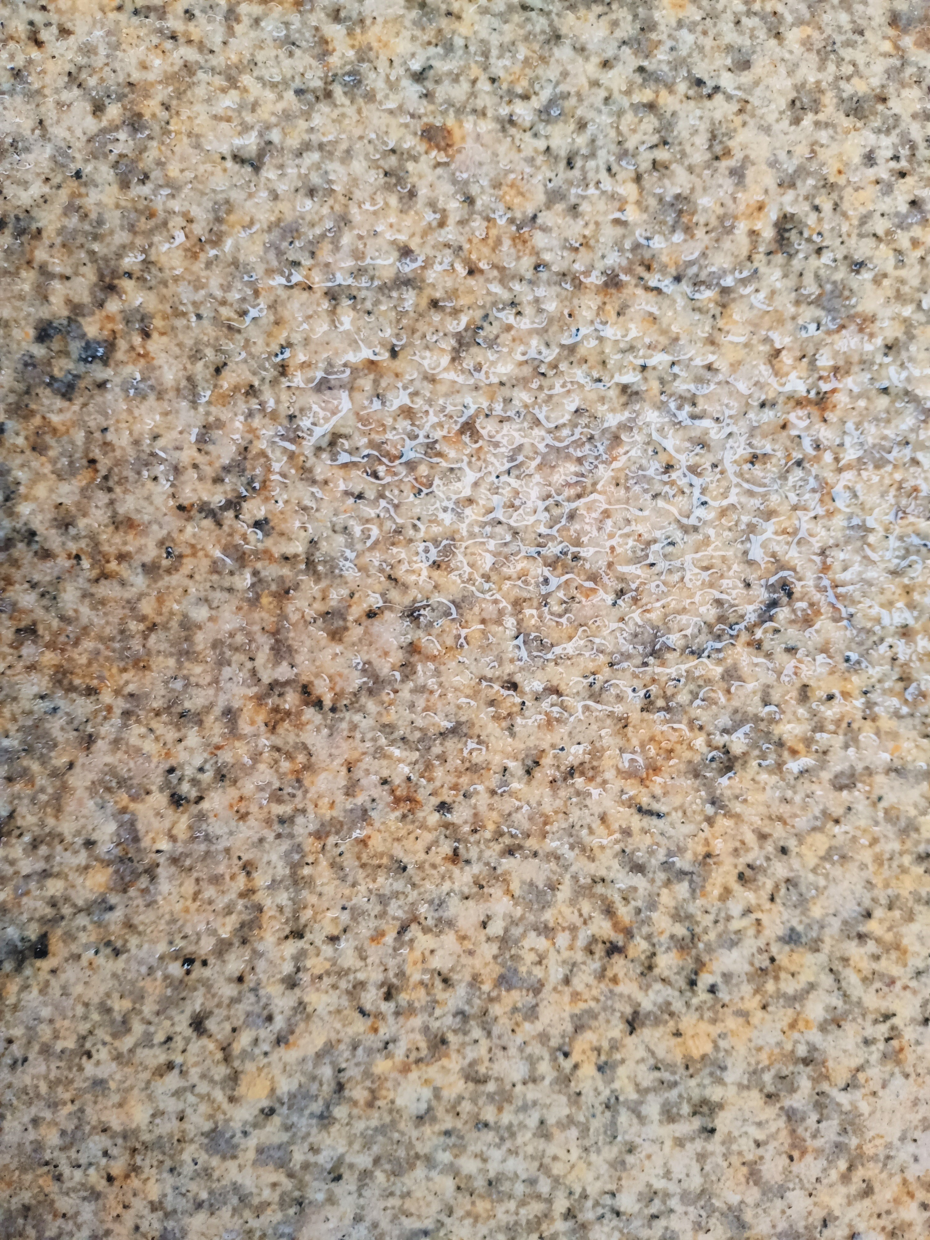 黄锈石荔枝面厂商